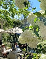 Creekside Dining